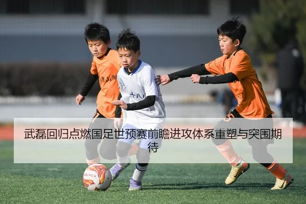 武磊回归点燃国足世预赛前瞻进攻体系重塑与突围期待