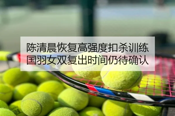 陈清晨恢复高强度扣杀训练 国羽女双复出时间仍待确认