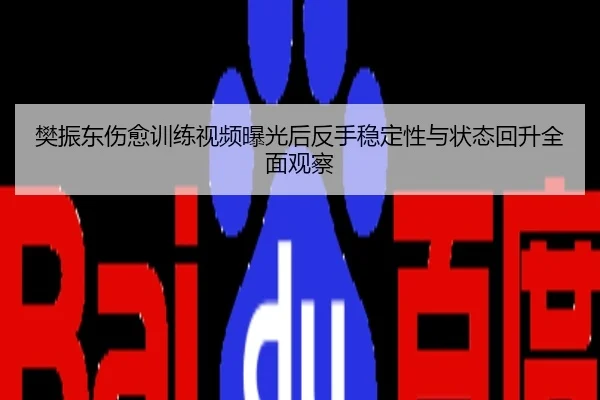 樊振东伤愈训练视频曝光后反手稳定性与状态回升全面观察